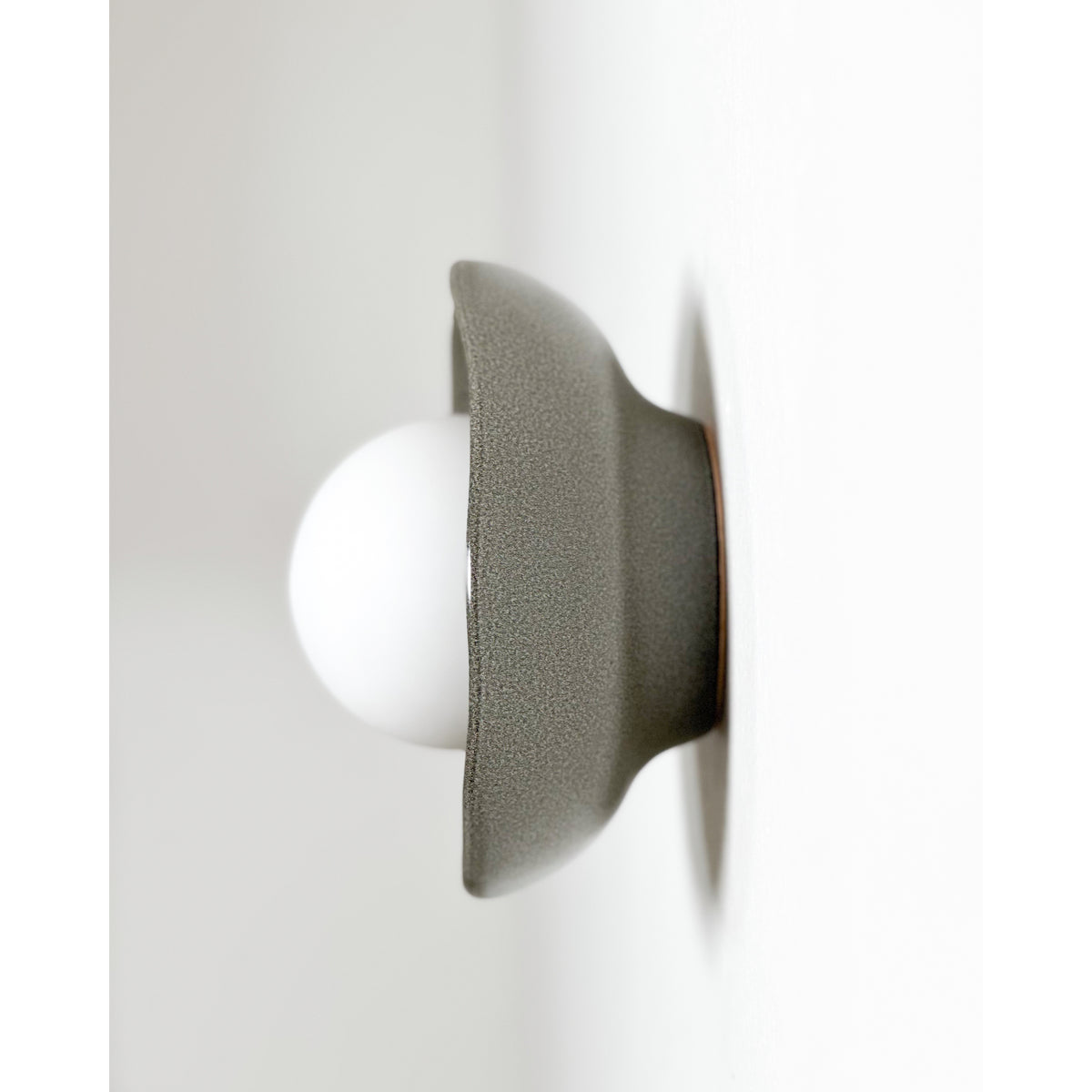 Shell Wall Sconce, Rivergum