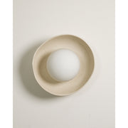 Shell Wall Sconce, Poppyseed