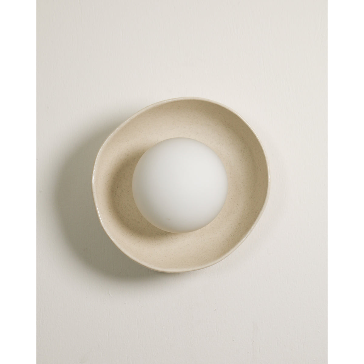 Shell Wall Sconce, Poppyseed