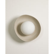 Shell Wall Sconce, Stone