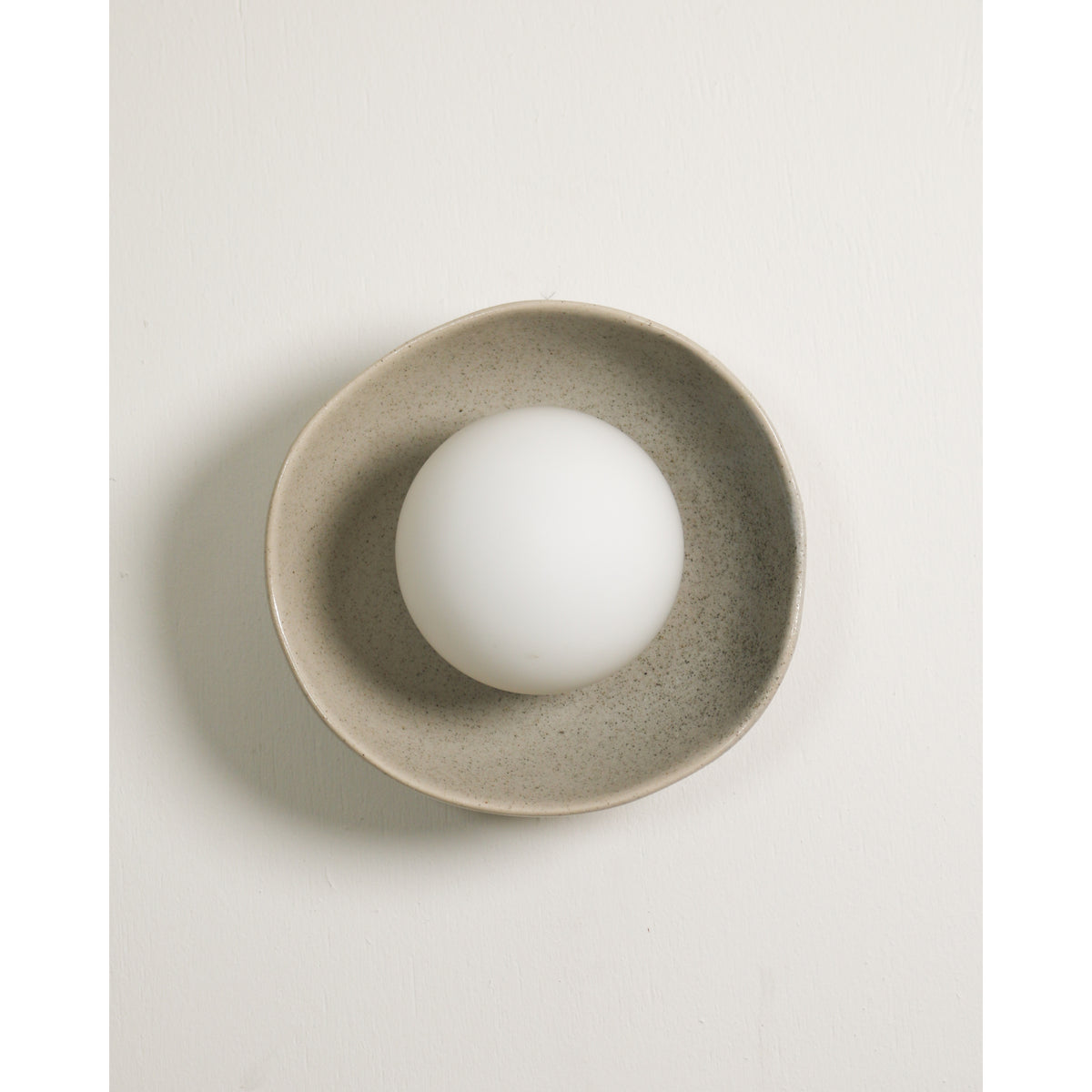 Shell Wall Sconce, Shale