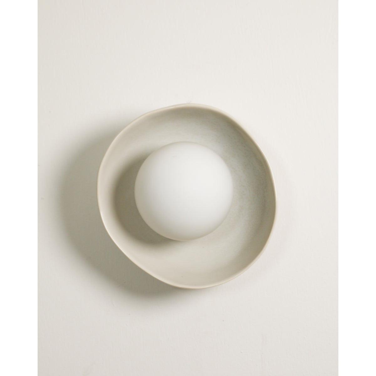 Shell Wall Sconce, Coast