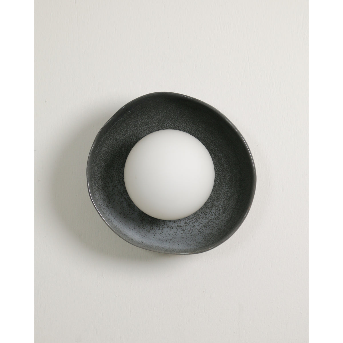 Shell Wall Sconce, Storm