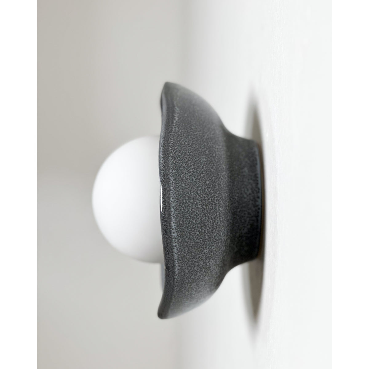 Shell Wall Sconce, Storm