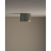Short Cylinder Ceiling Light, Rivergum