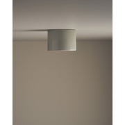 Short Cylinder Ceiling Light, Saltbush