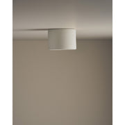 Short Cylinder Ceiling Light, Stone
