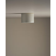 Short Cylinder Ceiling Light, Shale