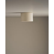 Short Cylinder Ceiling Light, Bone