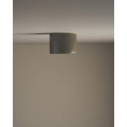 Short Cylinder Ceiling Light, Olive