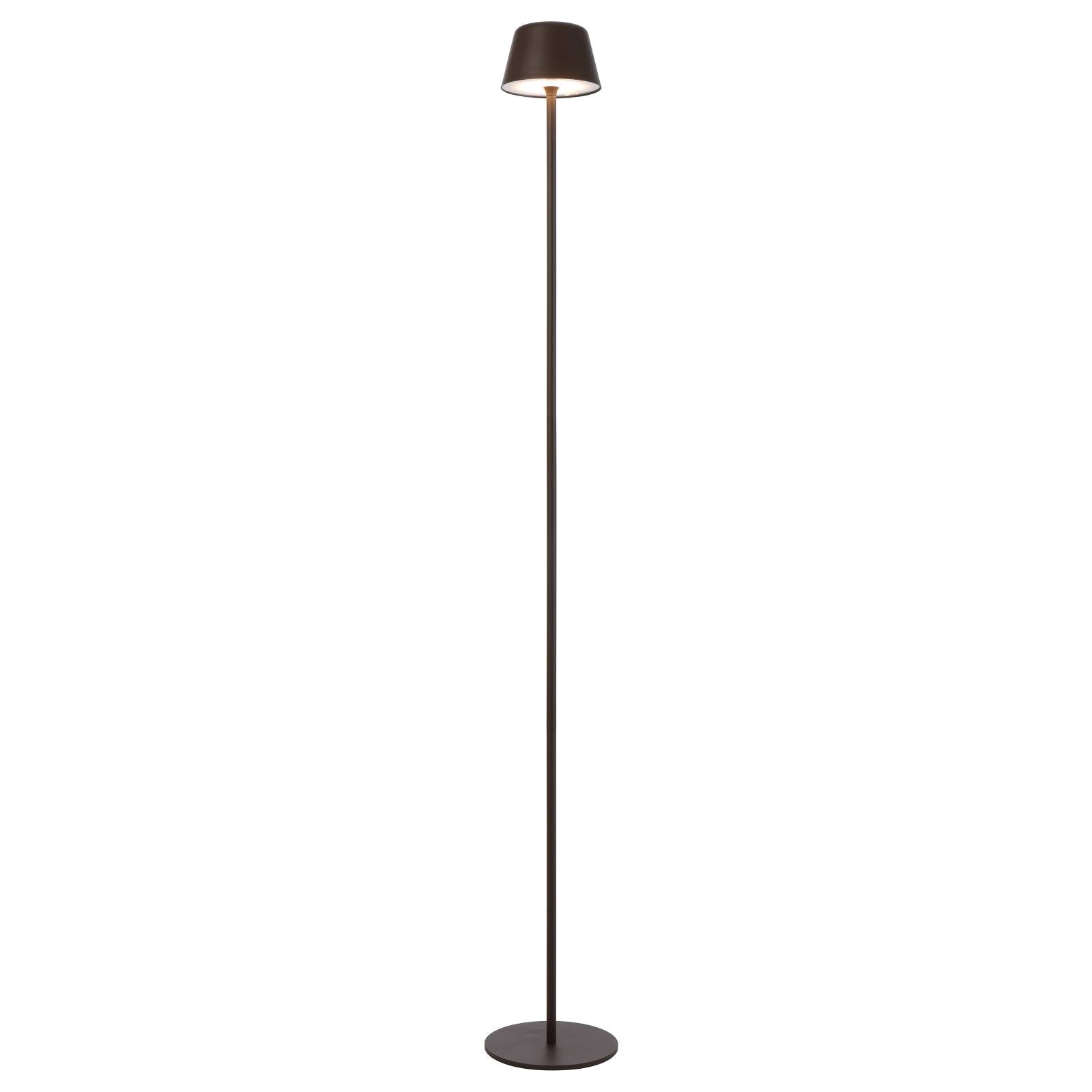 Briana Rechargeable Floor Lamp, Brown