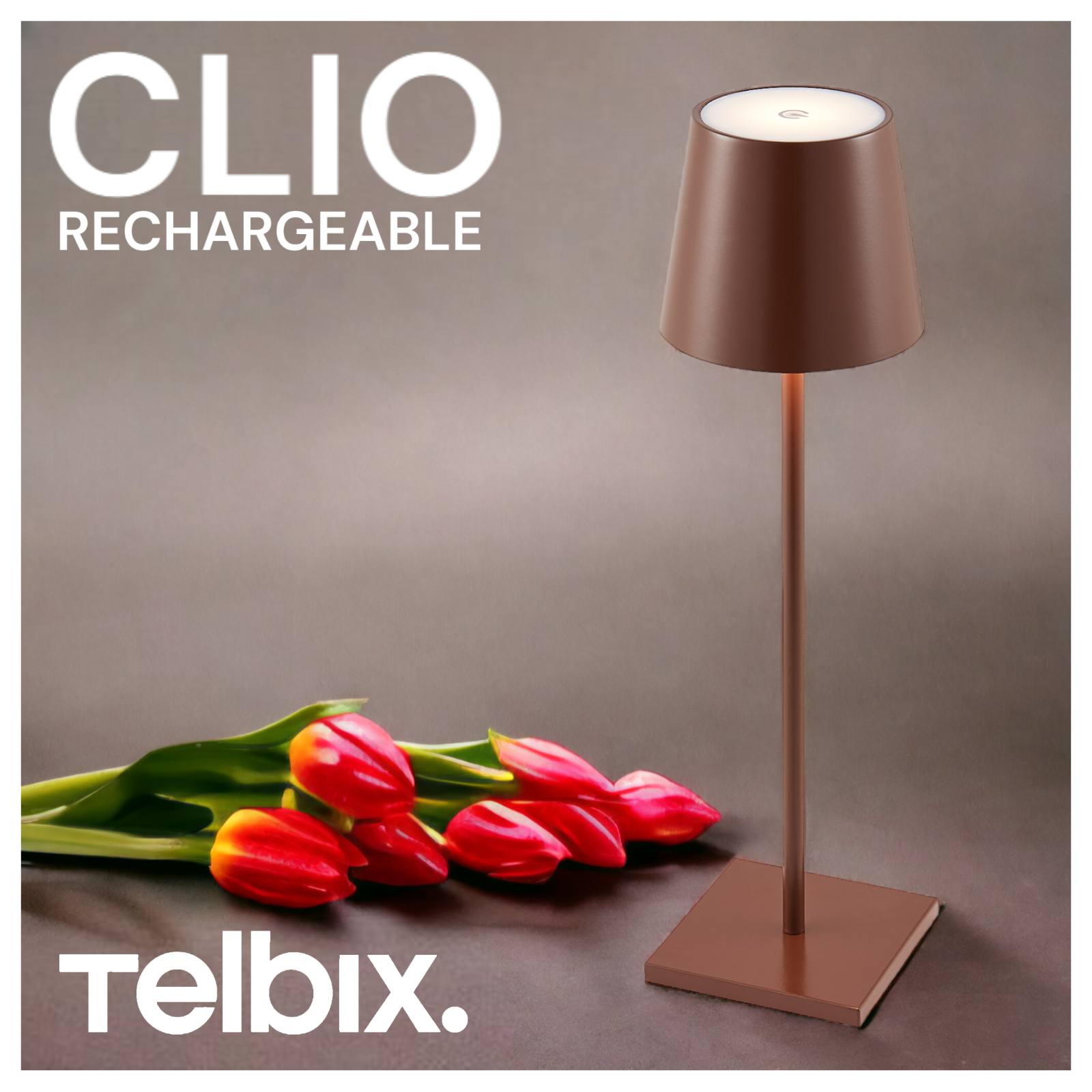 Clio Rechargeable Table Lamp, Brown
