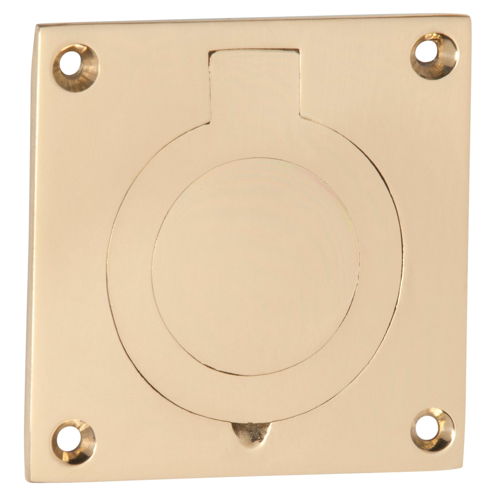Cellar Door Pull, Polished Brass