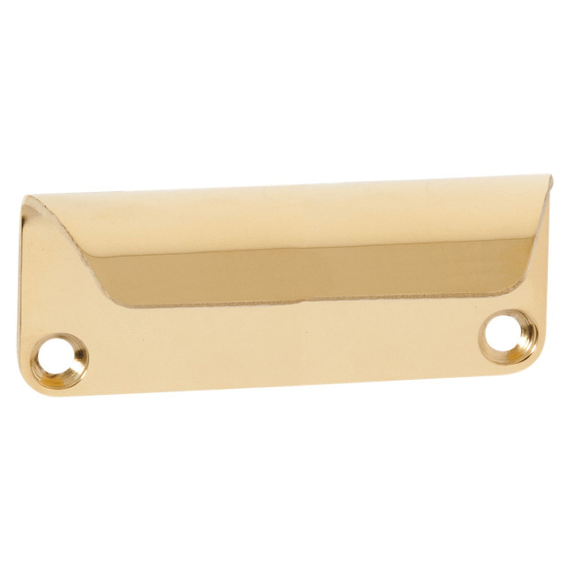 Large Contemporary Sash Lift, EOL, PVD