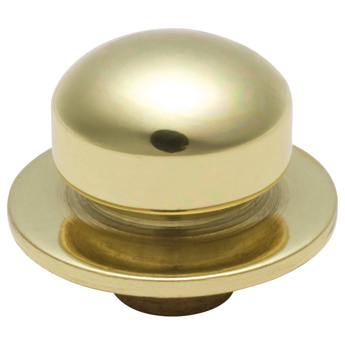 Spare Dimmer Knob, Polished Brass