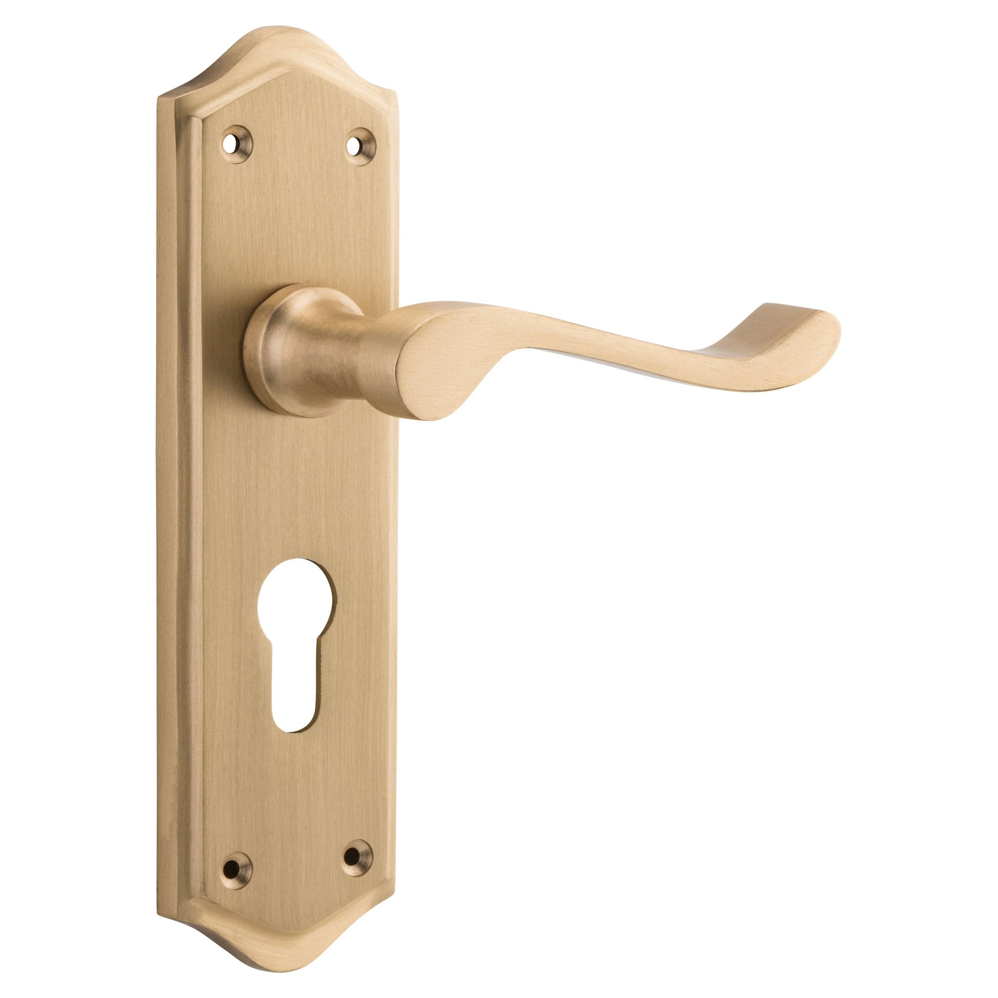 Henley Lever Long Backplate, Satin Brass