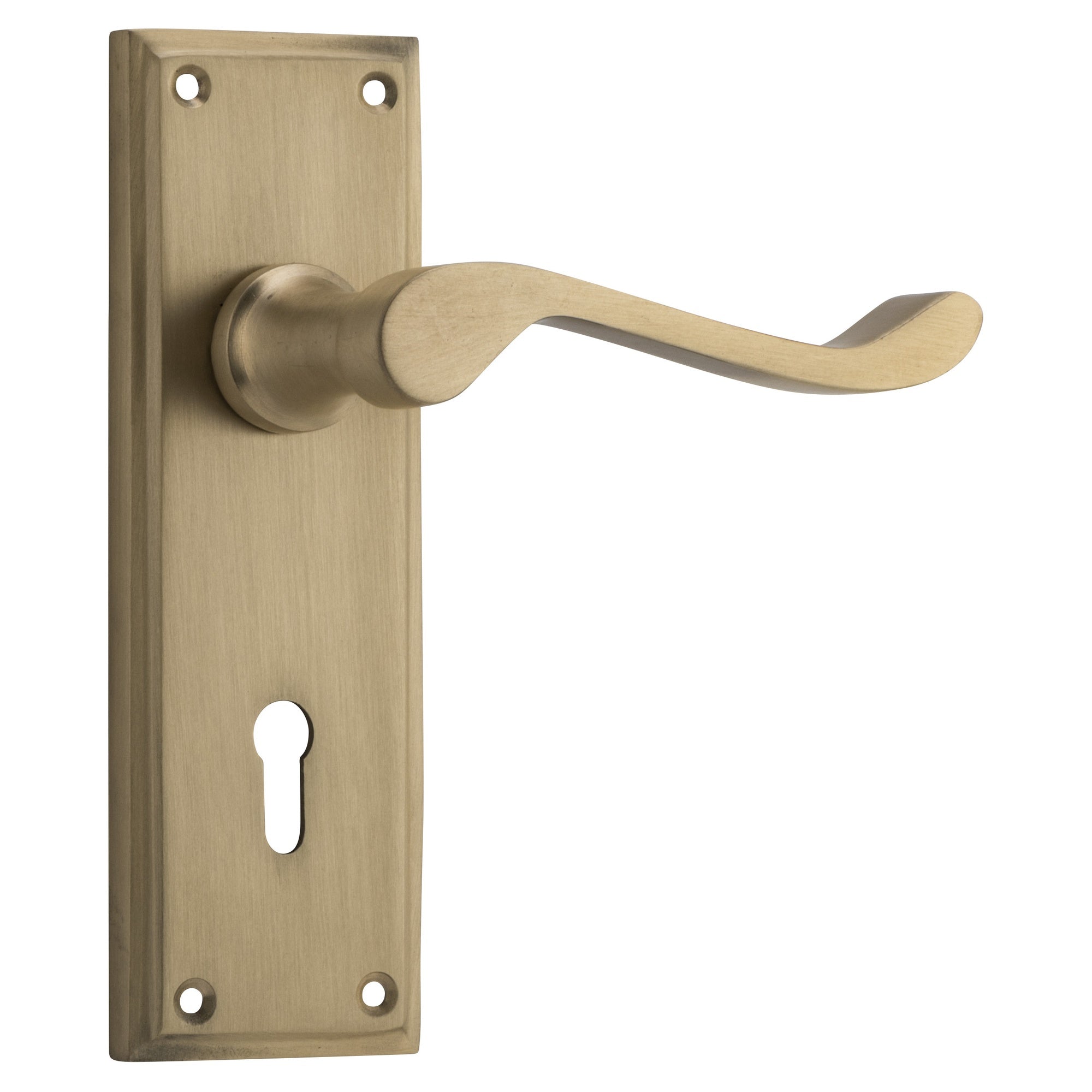 Camden Lock Pair Satin Brass