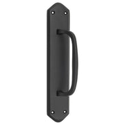 Offset Pull Handle w/Backplate, Matte Black
