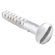 Slot Head Raised Countersunk Screw Solid Brass L19mm 5 Gauge, Chrome Plated