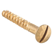 Slot Head Raised Countersunk Screw Solid Brass L19mm 5 Gauge, Polished Brass