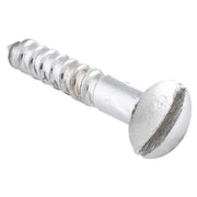 Slot Head Raised Countersunk Screw Solid Brass L19mm 5 Gauge, Satin Chrome