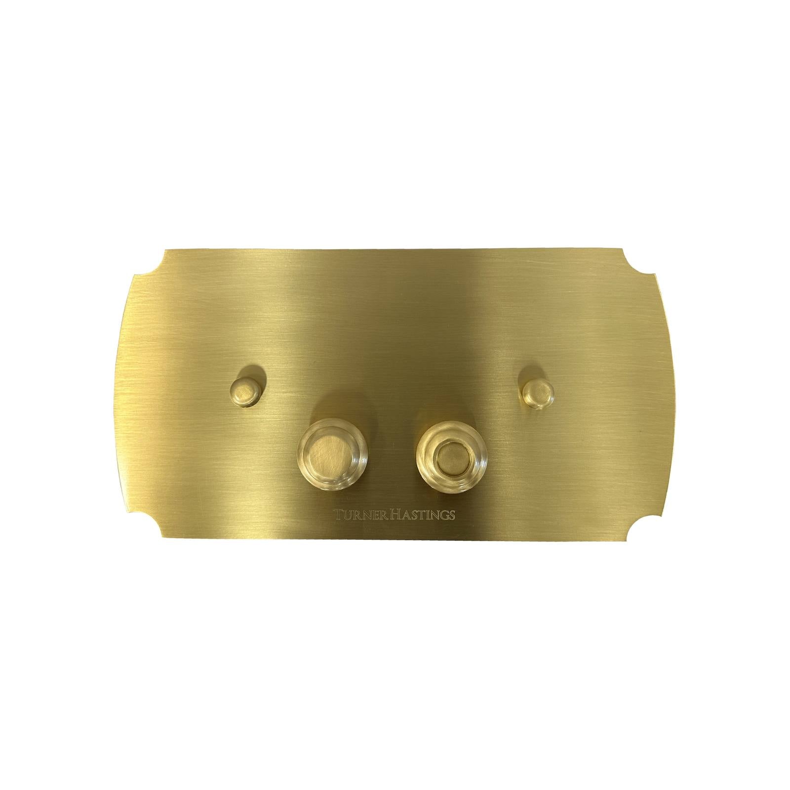 Turner Hastings Claremont Flush Plate Brushed Brass