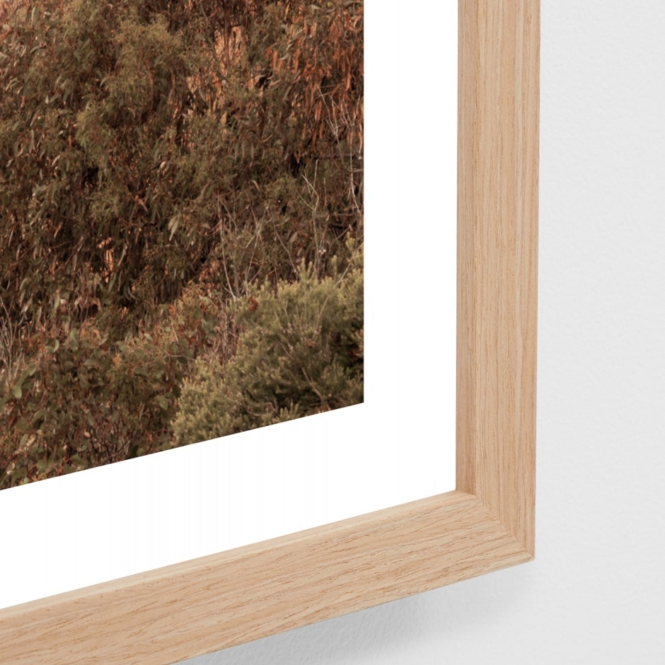 WARANGCLG5_Anglesea Cliffs Print 140 x 100cm