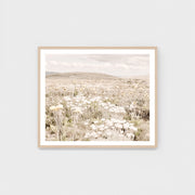 WARAUSALSW2_Australian Alpine Spring Print 68 x 58cm