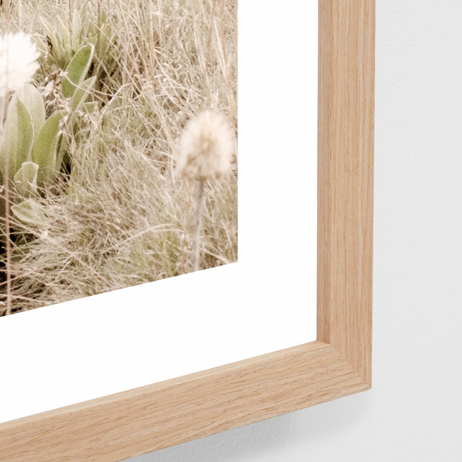 WARAUSALSW2_Australian Alpine Spring Print 68 x 58cm