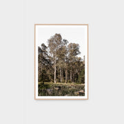 WARAUSBUG3_Australian Bush Print 62 x 87cm