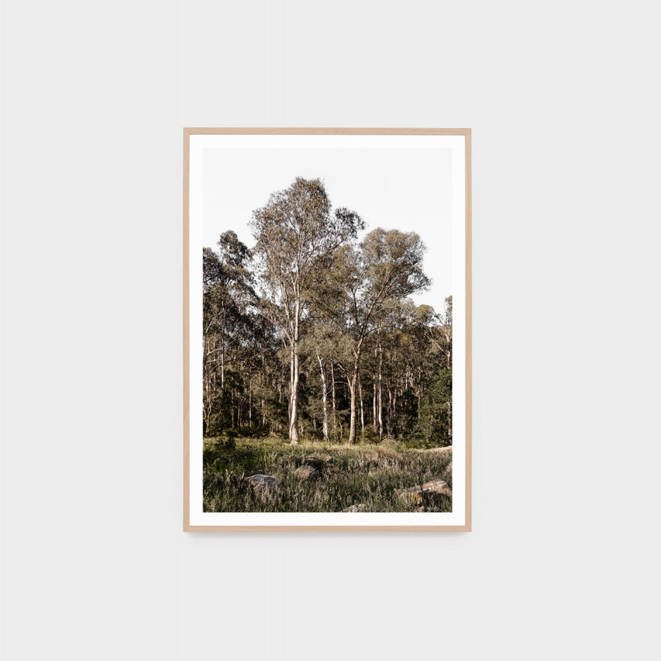 WARAUSBUG3_Australian Bush Print 62 x 87cm