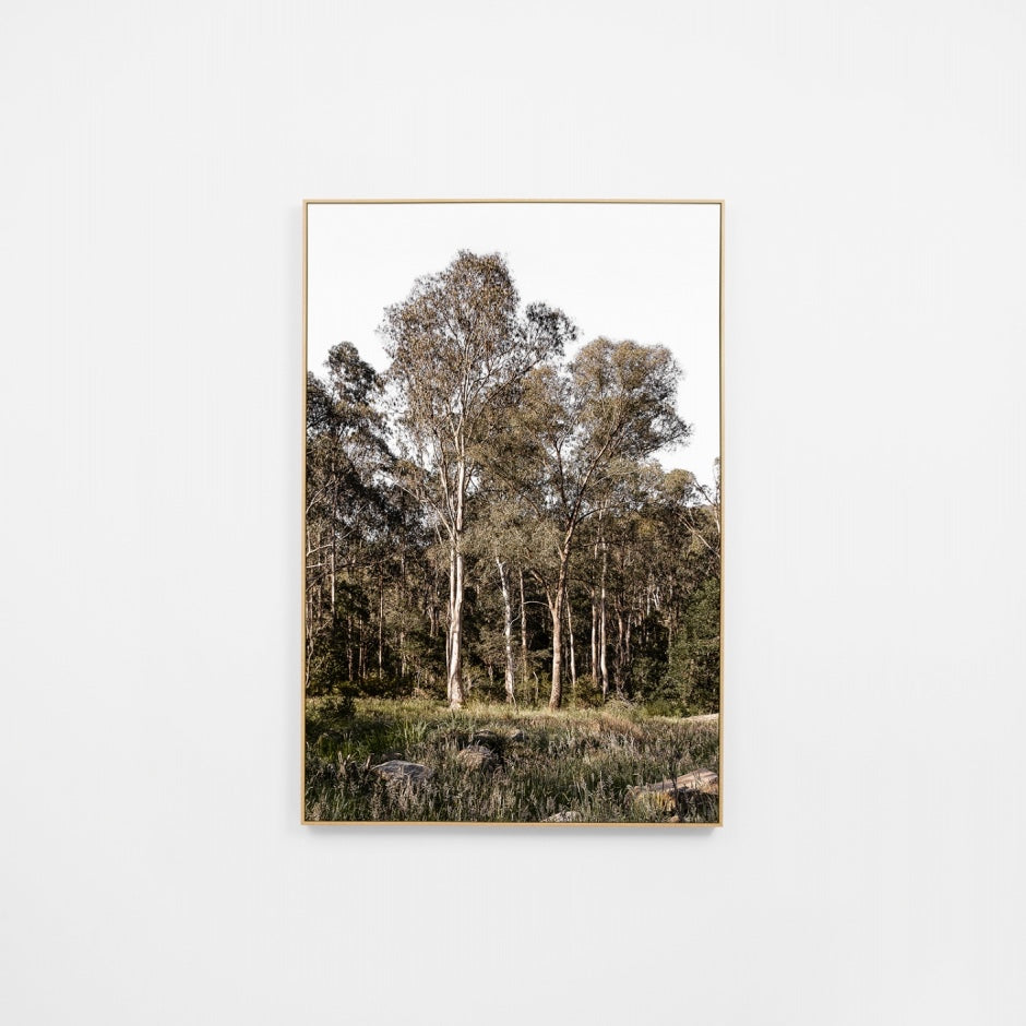 WARAUSBUSR3U_Australian Bush Canvas 60 x 90cm, Unframed
