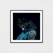 WARAUSCOS4_Australian Cockatoo Print 83 x 83cm