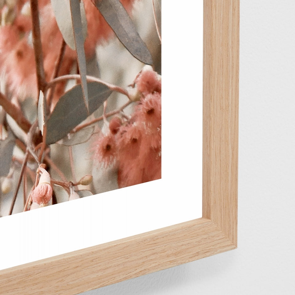WARAUSGUG1_Australian Gum Print 45 x 33cm