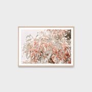 WARAUSGUG2_Australian Gum Print 62 x 45cm
