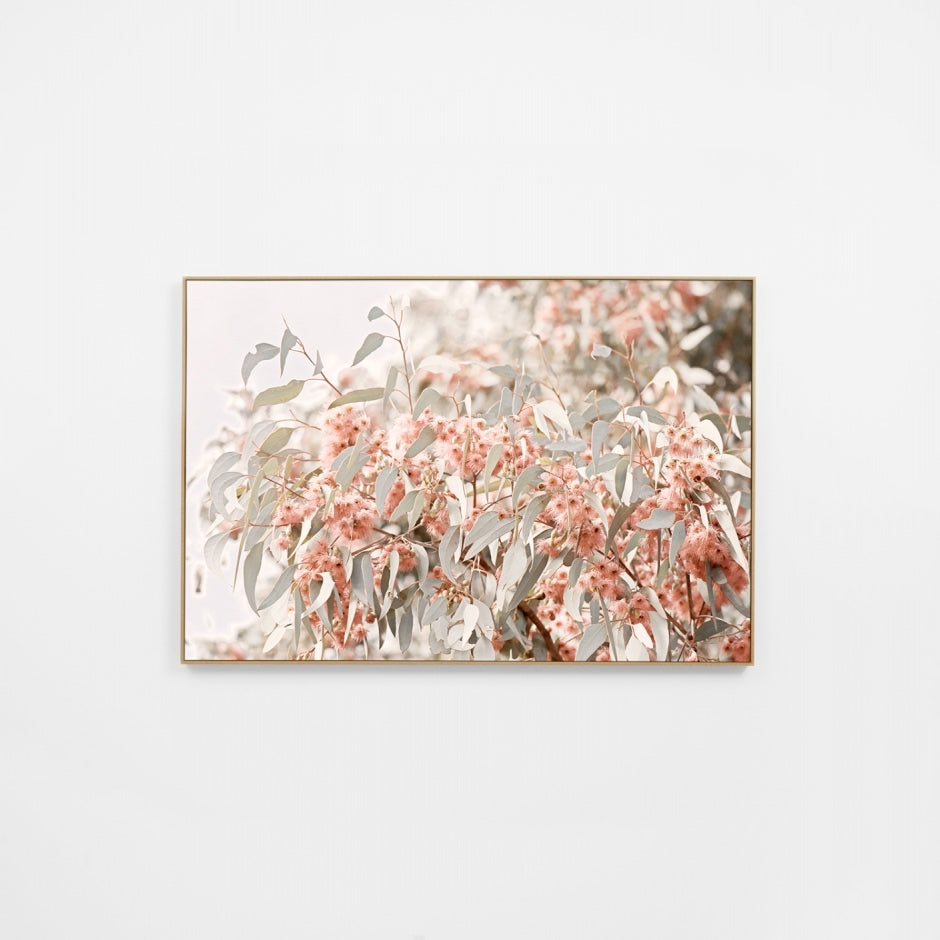 WARAUSGUMR5F_Australian Gum Canvas 120 x 80cm, White Smooth Synthetic Frame