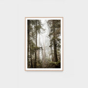 WARBUSHIG3_Bushland Hike Print 62 x 87cm