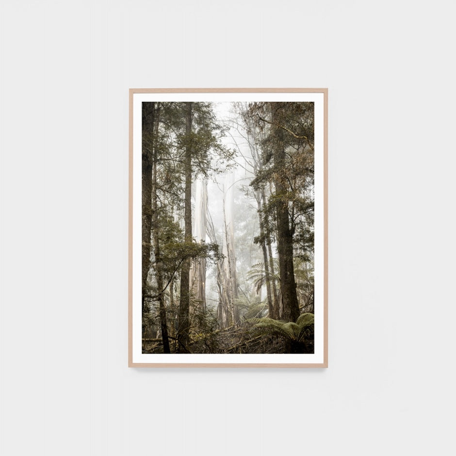 WARBUSHIG4_Bushland Hike Print 87 x 122cm