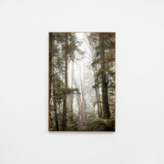 WARBUSHIKR5H_Bushland Hike Canvas 80 x 120cm, Light Timber-Look Synthetic Frame