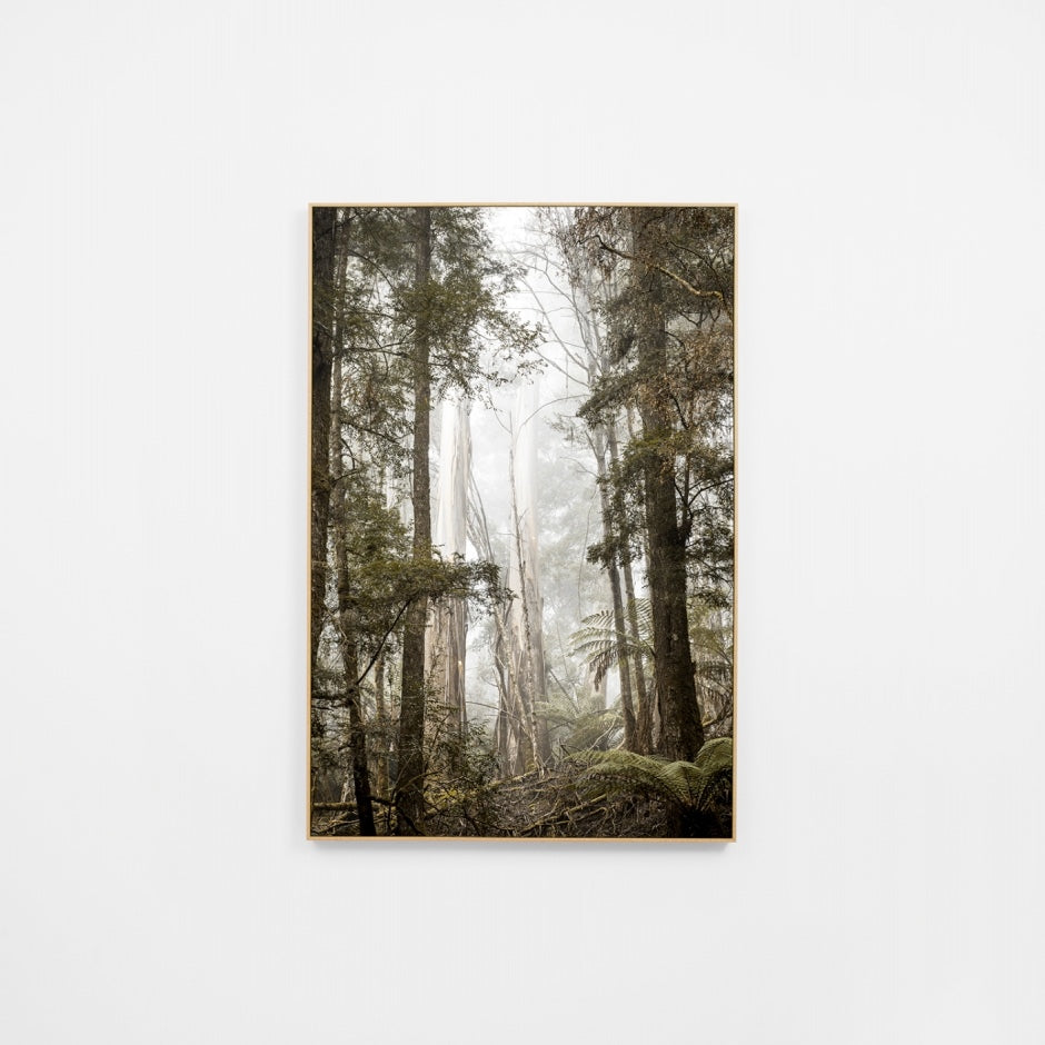 WARBUSHIKR7H_Bushland Hike Canvas 100 x 150cm, Light Timber-Look Synthetic Frame