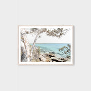 WARCOAGUG3_Coastal Gum Print 87 x 62cm