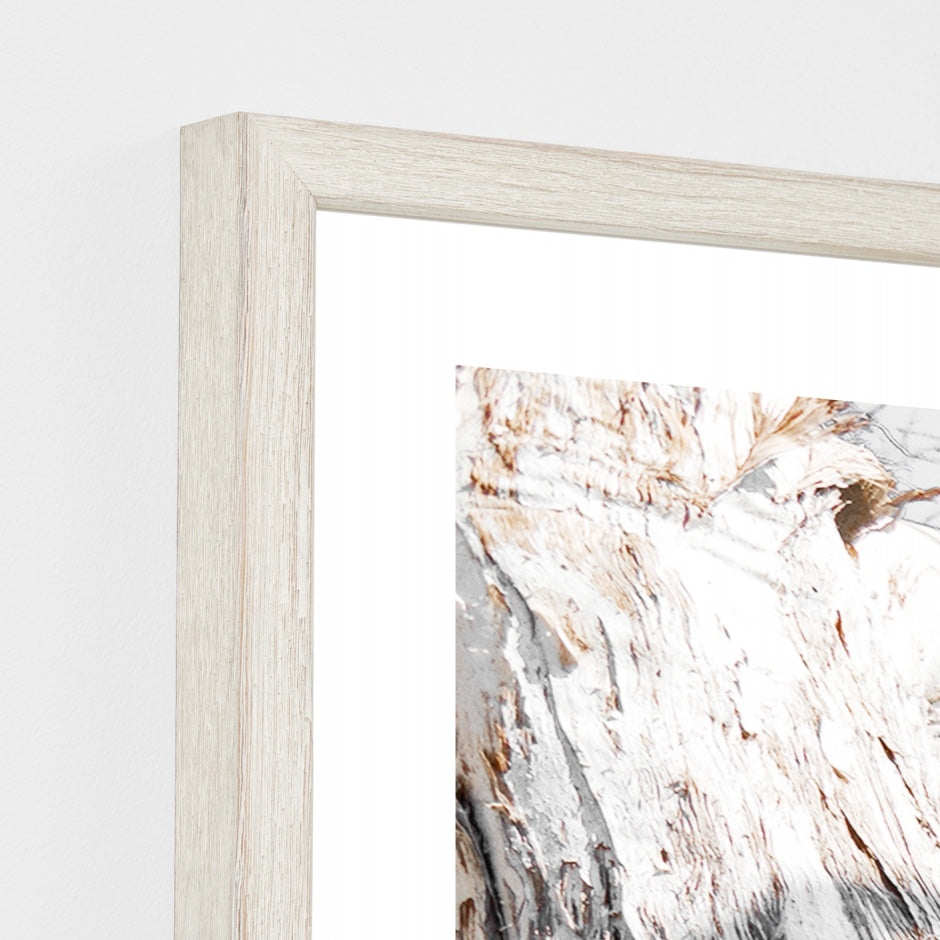 WARCOAGUG3_Coastal Gum Print 87 x 62cm