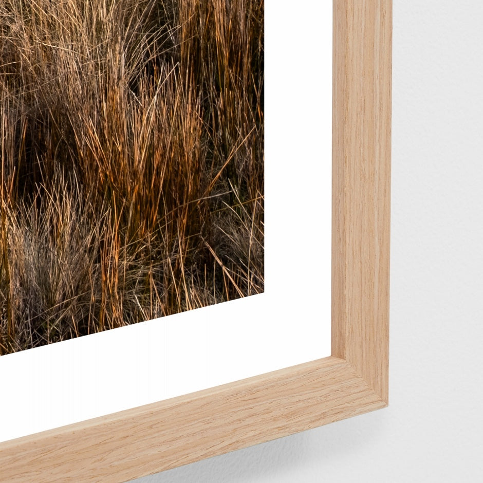 WARCOAHIKG3_Coastal Hike Print 87 x 62cm
