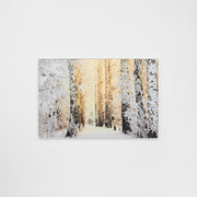 WARCPBIRFOR_Birch Forest in Winter Framed Canvas