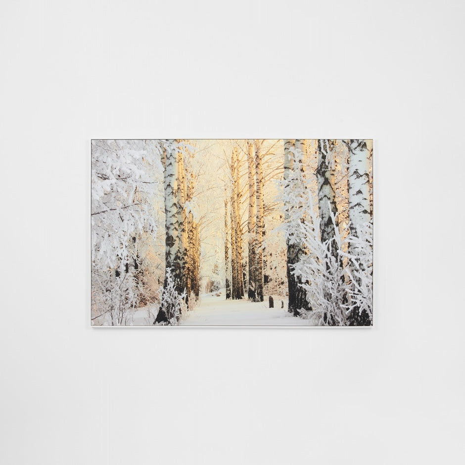 WARCPBIRFOR_Birch Forest in Winter Framed Canvas