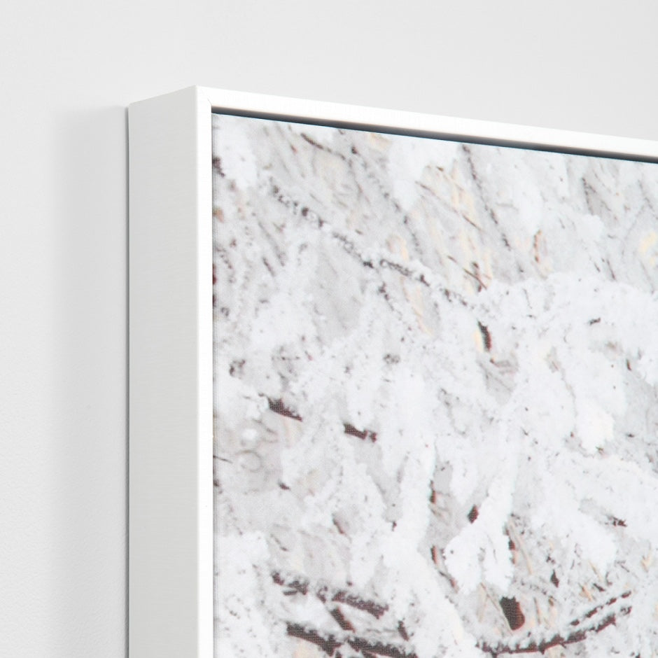 WARCPBIRFOR_Birch Forest in Winter Framed Canvas