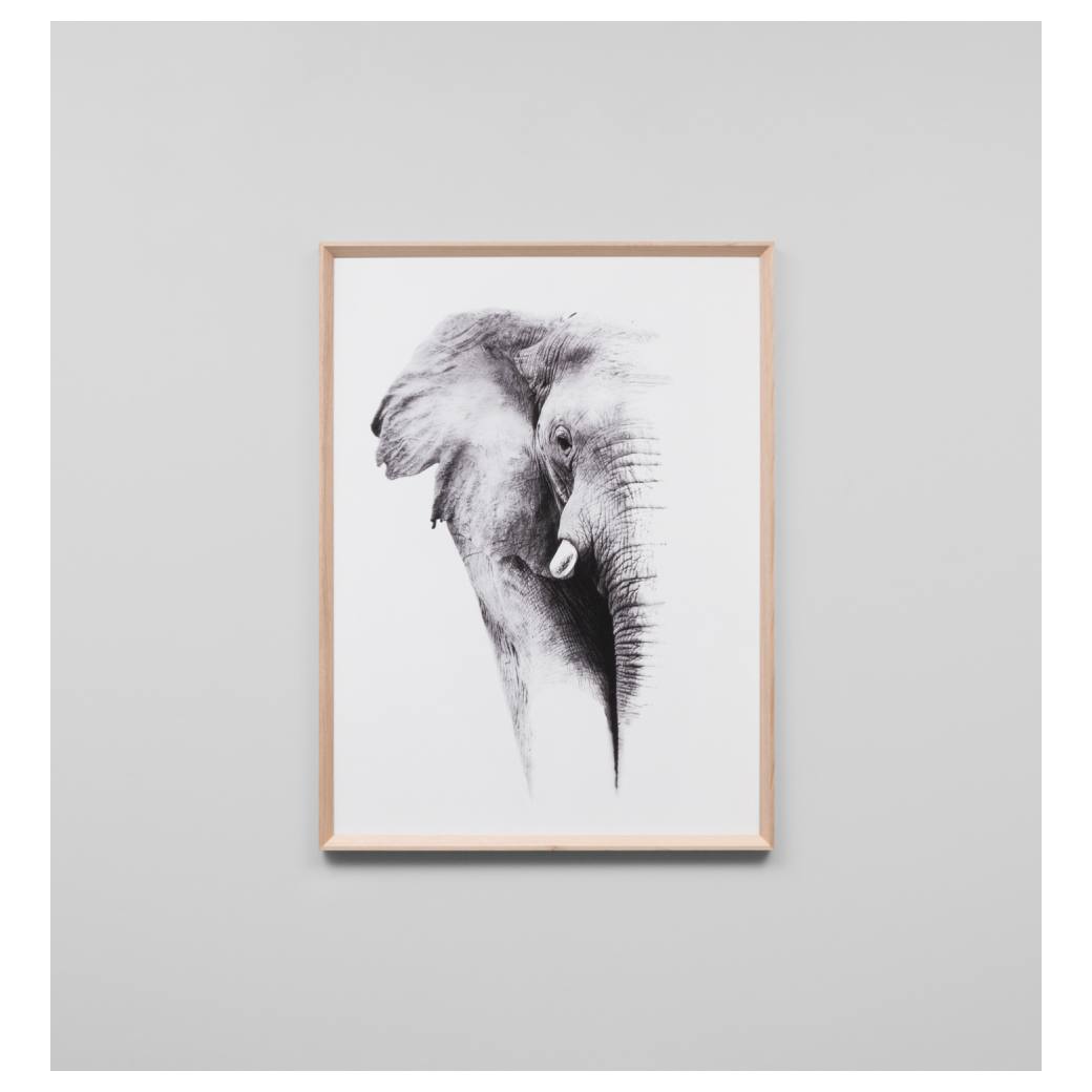 Africa Elephant Print