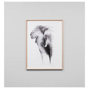 Africa Elephant Print