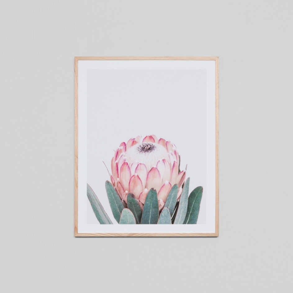 WAREPXAUSF1H_Australian Floral 1