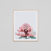 WAREPXAUSF2H_Australian Floral 2